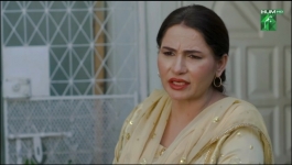 Dil Pe Zakham Khaye Hain - Episode 38 - 13th August 2023